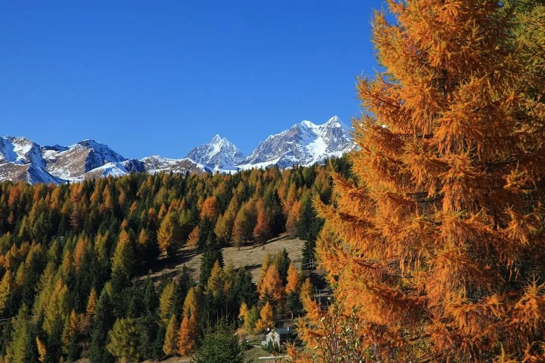 Autunno in Aprica